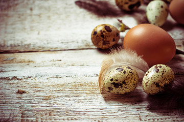 Obraz na płótnie Canvas Chicken and quail eggs with pussy willows