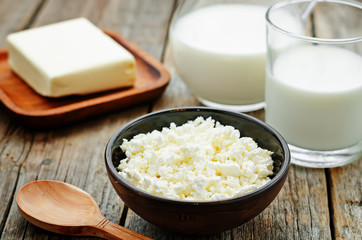 dairy products. cottage cheese, butter, milk, cheese