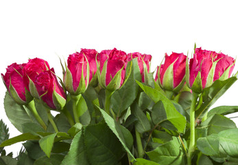 Red roses bouquet