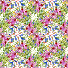 Wild flowers seamless pattern on white background