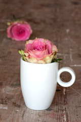 Flowers for valentines or mothers day