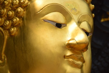 Buddhas Gesicht im Halbprofil