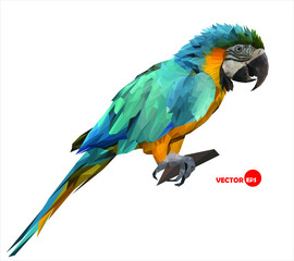 colorful macaw parrot sitting on a wooden stick