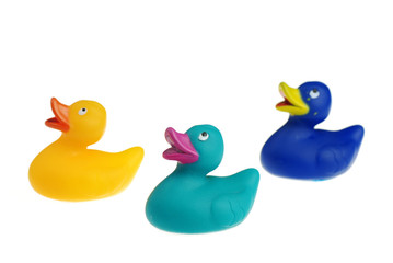 Colorful ducklings isolated on white background