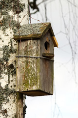A birdhouse