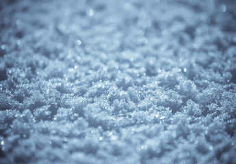 Obraz premium Sparkling snow surface.