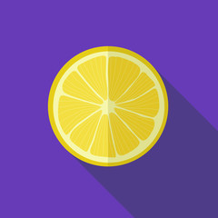 Lemon icon. Flat design vector illustration.