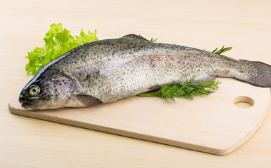Raw fresh trout