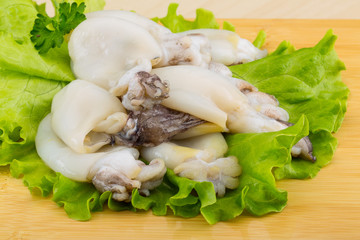 Raw cuttlefish