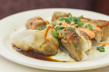 Fancy Asian Dumplings