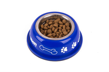 Dog Food in Blue Bowl