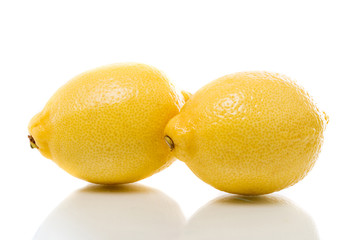 Zitrone, Cirtus, Lemon
