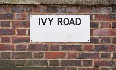 Ivy Road  Sign mounted on brick Wall