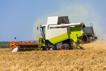 Obraz premium Mähdrescher im Kornfeld-298563816