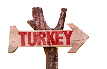 Turkey wooden sign isolated on white background