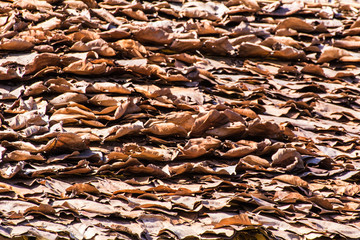 Roofs made from dry leaves, Thailand