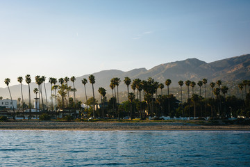 View of palm trees on the shore and mountains from Stearn's Whar