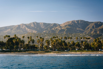 View of palm trees on the shore and mountains from Stearn's Whar - obrazy, fototapety, plakaty