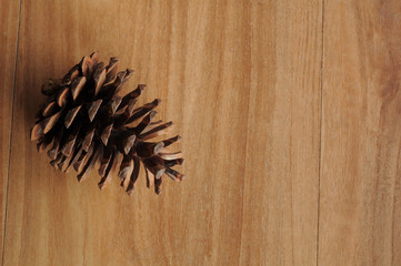 Single Cedar Pine Cone on left side of wood background