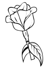 Retro Rose Drawing