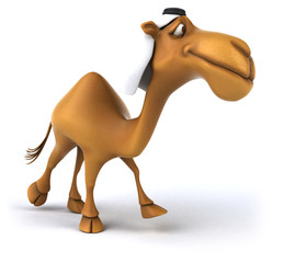 Fun camel