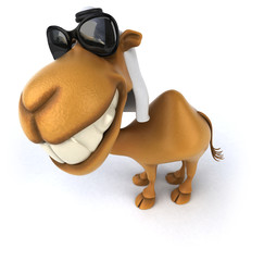 Naklejka premium Fun camel