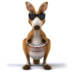 Fun kangaroo © Julien Tromeur