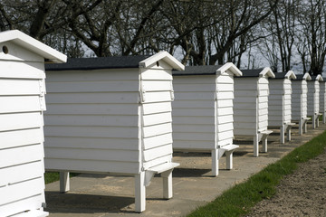 Closeup Bee Houses