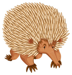 Porcupine