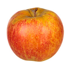Fresh organic apple