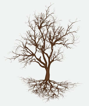 Dead Tree Branches Vector