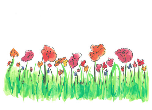 Blumenwiese