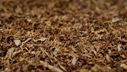 tobacco texture background