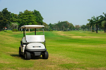 The Electric golf car on the fairway