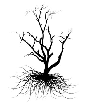 Black Shape Dead Tree Design Element