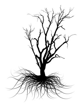 Black Dead Tree Silhouette