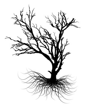 Dead Tree Halloween Graphic