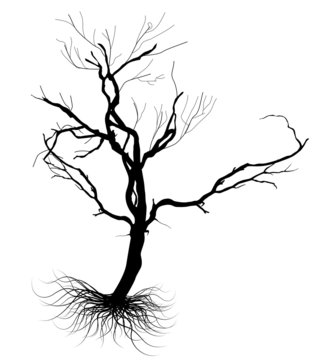 Dead Tree Black Shape Vector