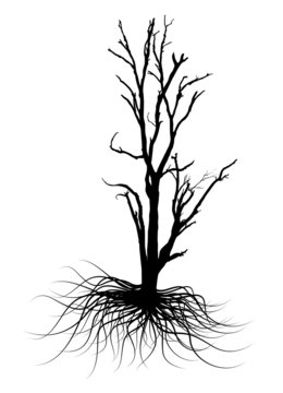 Dead Tree Black Vector