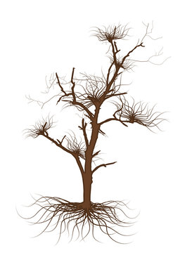 Brown Dead Tree Vector Graphic