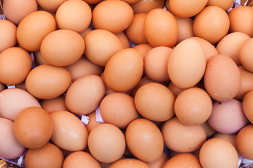 Chicken eggs in a basket isolate on white background