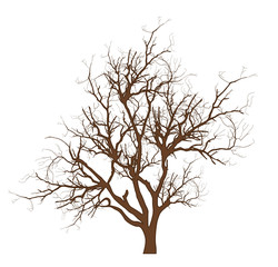 Dry Tree Vector
