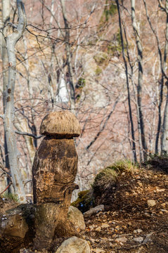 Bollet sculpt&eacute; sur un tronc d'arbre