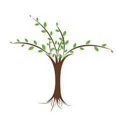 Fototapeta premium Green Tree Branches with Leaves