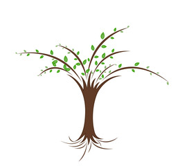 Green Tree Vector Design