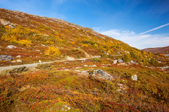 sunny autumn landscape Norway Gamle Strynefjellsvegen