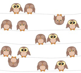 Illustration of cute owls on white background, owls pattern