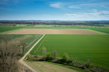 Aerial view of the field