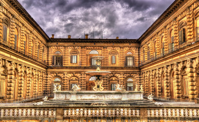 Fototapeta premium Fontana del Carciofo in Florence - Italy