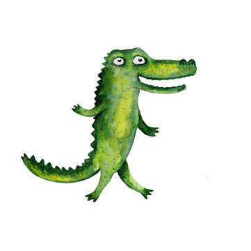 Crocodile. Watercolor illustration